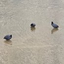 마치세월교 이미지