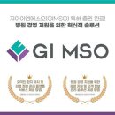 지아이엠에스오
