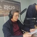 법률사무소송연