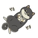 송탄제이 이미지