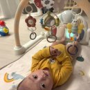 내산체육관 이미지