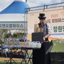 자연과예술유치원 | 전라남도 정원페스티벌 버블매직쇼 공연 후기버블타이거, 자연 속에서 피어난 예술과 웃음의 향기