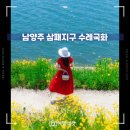 (주)아이디어피크닉 | 남양주 수레국화 삼패지구 한강공원 5월 꽃구경 한강피크닉