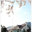빙그레여인숙 티스토리