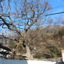 최고봉축산 이미지