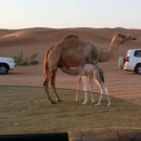 한국폴리텍 I 대학 성남캠퍼스 이미지