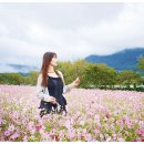 가조온천 이미지