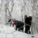 안성리-3 이미지