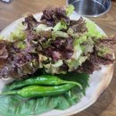 통큰생오리영천점 이미지