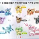 황태가맥 이미지