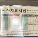 서동통돼지 이미지