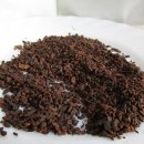 치커리(chicory) 이미지