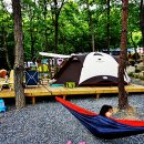 비슬산 숲속 오토캠핑장 이미지