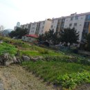 포항시남구51 이미지