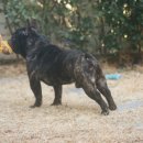 ZANYCAMP(재니캠프) 이미지