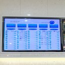 눈사랑안과 | 의정부 민락동 눈사랑안과 알러지성 결막염 진료 후기