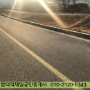 합덕시장 Daum카페