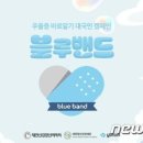 와이31 이미지