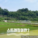 은천동-48 네이버블로그