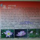 도천재 단서죽백 이미지