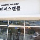 퍼피스캔들 네이버블로그