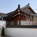 배동스테이