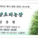 김충현농장 이미지