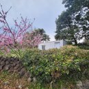 표선면-4 이미지