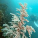 해송4로 이미지