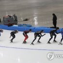 강릉스피드스케이팅경기장 이미지