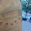 동구종합동물병원 | 대구 동구 동물병원 6살 강아지종합검진 후기 &lt;동대구동물의료센터&gt;