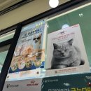 보라종합동물병원 이미지