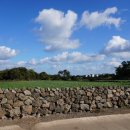 림의 집 이미지