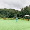 고란집 민박 이미지