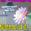 스크린미디어주 네이버블로그