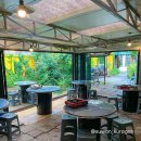 댕댕이수라상 이미지