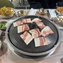 뽕자살롱 이미지
