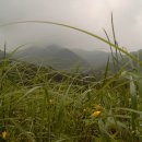 풍촌농장 이미지