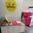 댕댕프렌즈 이미지