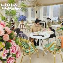 아기애견 | 서울근교 애견동반카페 봉주르팔당, 아기랑 다녀온 후기