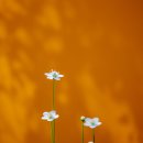 구암농장 이미지