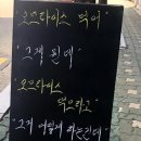 욕망오므라이스