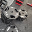 렉슬프로짐 이미지