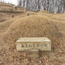 정정공 강사상 묘역 이미지