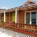 연어의추억 이미지