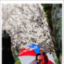 향기있는풍경 이미지