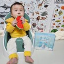 도그리치 | 촉촉하고 보습력 좋은 베이비 도그 바디워시 바디로션 추천!