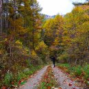 매봉산2 이미지