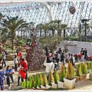 서울화원 이미지