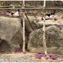 NO.9 넘버나인 펜션 이미지